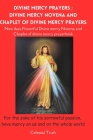 Divine Mercy Prayers; Divine Mercy Novena and Chaplet of Divine Mercy Prayers: Chaplet of divine mercy prayer and powerful Divine mercy Novena prayer Cover Image