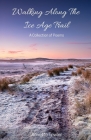 Walking Along The Ice Age Trail By Annette Towler Cover Image