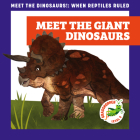 Meet the Giant Dinosaurs By Rebecca Donnelly, Alan Brown (Illustrator) Cover Image