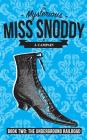 The Mysterious Miss Snoddy: The Underground Railroad Cover Image