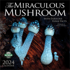 Miraculous Mushroom 2024 Wall Calendar: With Fabulous Fungi Facts By Amber Lotus Publishing (Created by) Cover Image
