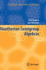 Noetherian Semigroup Algebras (Algebra and Applications #7) By Eric Jespers, Jan Okninski Cover Image