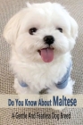 Do You Know Maltese: A Gentle And Fearless Dog Breed: Gentle And Fearless Maltese Dog Book Cover Image