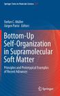 Bottom-Up Self-Organization in Supramolecular Soft Matter: Principles and Prototypical Examples of Recent Advances By Stefan C. Müller (Editor), Jürgen Parisi (Editor) Cover Image