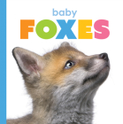 Baby Foxes (Starting Out) By Kate Riggs Cover Image