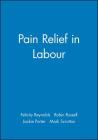 Pain Relief in Labour By Felicity Reynolds (Editor), Robin Russell (Editor), Jackie Porter (Editor) Cover Image