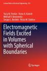 Electromagnetic Fields Excited in Volumes with Spherical Boundaries (Lecture Notes in Electrical Engineering #523) By Yuriy M. Penkin, Victor A. Katrich, Mikhail V. Nesterenko Cover Image