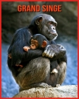 Grand Singe: Informations Intéressantes et Amusantes Concernant les Grand Singe Cover Image