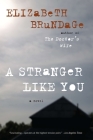 A Stranger Like You: A Novel By Elizabeth Brundage Cover Image
