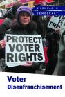Voter Disenfranchisement By Derek Miller Cover Image