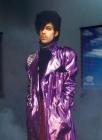 Wax Poetics Issue 50 (Hardcover): The Prince Issue By Alan Leeds, Gwen Leeds, Ahmir Questlove Thompson Cover Image
