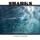 Sharks Calendar 2020: 16 Month Calendar By Golden Print Cover Image