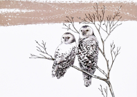 Snowy Owls Deluxe Boxed Holiday Cards By Heather Horsley (Illustrator) Cover Image