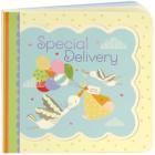 Special Delivery (Little Bird Greetings) By Minnie Birdsong, Nicola Evans (Illustrator) Cover Image