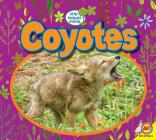 Coyotes (Little Backyard Animals) Cover Image