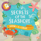 Secrets of the Seashore By Carron Brown, Alyssa Nassner (Illustrator) Cover Image