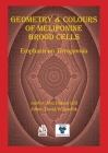 Geometry & Colours of Meliponine Brood Cells By Abu Hassan Jalil, David W. Roubik (Editor) Cover Image