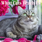 What Cats Teach Us 2023 Wall Calendar By Willow Creek Press Cover Image