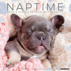 Naptime (Dogs & Puppies) 2025 12 X 12 Wall Calendar By Willow Creek Press Cover Image