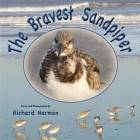 The Bravest Sandpiper By Richard Harmon, Richard Harmon (Photographer) Cover Image