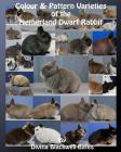 Colour & Pattern Varieties of the Netherland Dwarf Rabbit By Divina Blackwell-Bates Cover Image