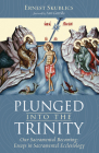 Plunged into the Trinity By Ernest Skublics, Ann Garrido (Foreword by) Cover Image