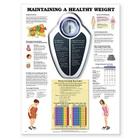 Maintaining A Healthy Weight By Anatomical Chart Company (Prepared for publication by) Cover Image