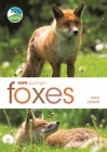 RSPB Spotlight: Foxes By Mike Unwin Cover Image
