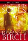 Shattered Souls By Dywane D. Birch Cover Image