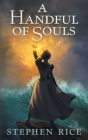 A Handful of Souls By Stephen Rice Cover Image