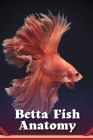 Betta Fish Anatomy: Understanding the Betta Fish Anatomy Cover Image