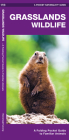 Grasslands Wildlife: An Introduction to Familiar Species Found in Prairie Grasslands (Pocket Naturalist Guide) Cover Image