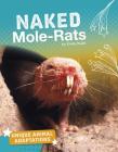 Naked Mole-Rats By Emily Hudd Cover Image
