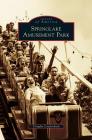 Springlake Amusement Park By Douglas Loudenback Cover Image