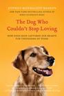 The Dog Who Couldn't Stop Loving: How Dogs Have Captured Our Hearts for Thousands of Years By Jeffrey Moussaieff Masson Cover Image