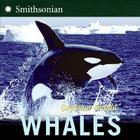 Whales Cover Image