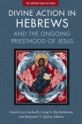 Divine Action in Hebrews: And the Ongoing Priesthood of Jesus By Gareth Lee Cockerill (Editor), Craig Bartholomew (Editor), Benjamin T. Quinn (Editor) Cover Image