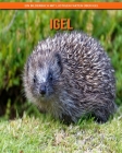 Igel: Ein Bilderbuch mit lustigen Fakten über Igel By Sabine Giordano Cover Image