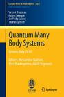 Quantum Many Body Systems: Cetraro, Italy 2010, Editors: Alessandro Giuliani, Vieri Mastropietro, Jakob Yngvason Cover Image
