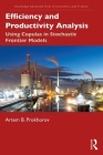 Efficiency and Productivity Analysis: Using Copulas in Stochastic Frontier Models (Routledge Advanced Texts in Economics and Finance) Cover Image
