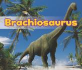 Brachiosaurus (All about Dinosaurs) By Daniel Nunn Cover Image