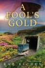 A Fool's Gold: A Novel of Suspense and Romance By Rae Richen, Diana Kolsky (Cover Design by) Cover Image