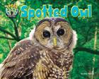 Spotted Owl (Treed: Animal Life in the Trees) By Dee Phillips Cover Image