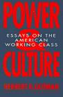 Power and Culture: Essays on the American Working Class By Herbert George Gutman Cover Image