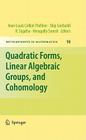 Quadratic Forms, Linear Algebraic Groups, and Cohomology (Developments in Mathematics #18) Cover Image