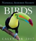 Birds Page-A-Day Gallery Calendar 2017 By National Audubon Society Cover Image