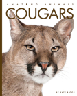 Cougars (Amazing Animals) By Kate Riggs Cover Image