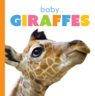 Baby Giraffes (Starting Out) By Kate Riggs Cover Image