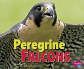 Peregrine Falcons (Birds of Prey) By Gail Saunders-Smith (Consultant), Melissa Hill Cover Image