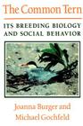 The Common Tern: Its Breeding Biology and Social Behavior Cover Image